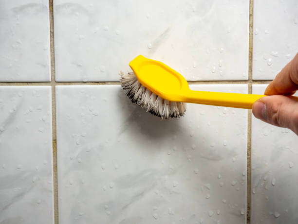 Best Residential Mold Removal  in Galesburg, IL