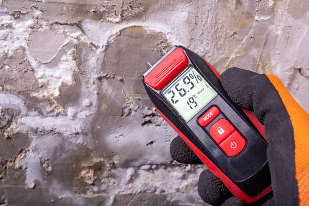 Galesburg, IL Mold Removal Company