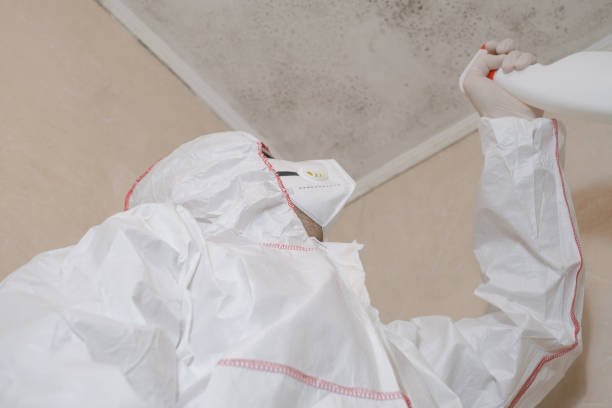 Best Mold Remediation  in Galesburg, IL